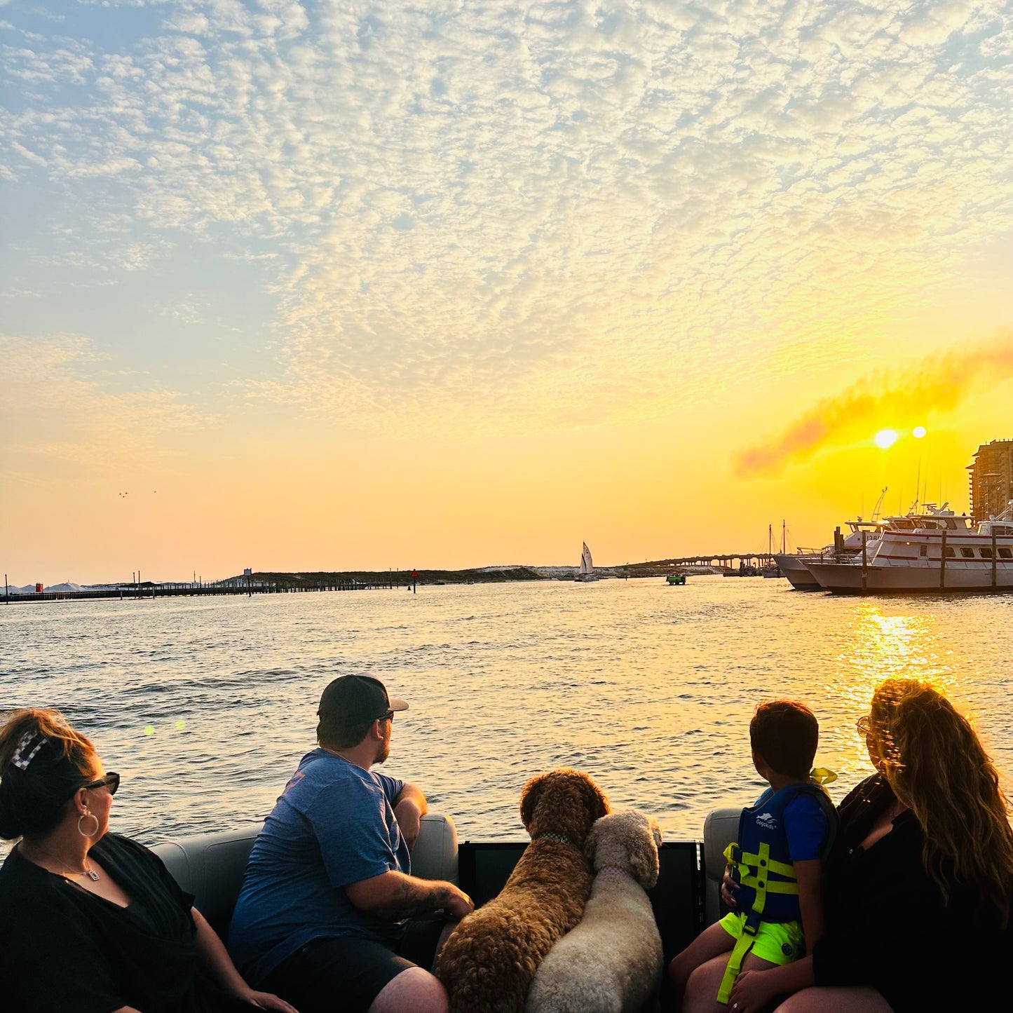 Dolphin Sunset Cruise up to 6 Passengers