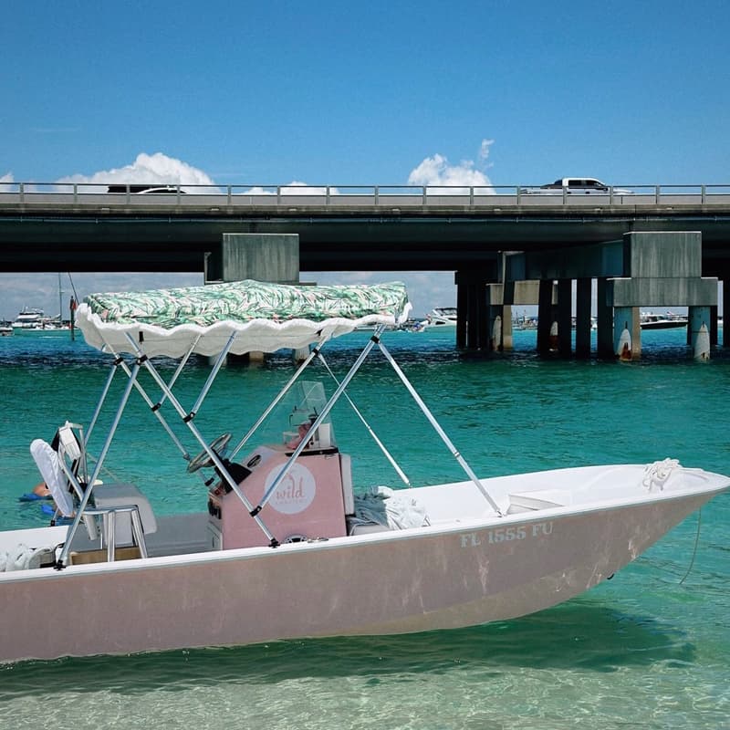 Pink Boston Whaler up to 5 Passengers