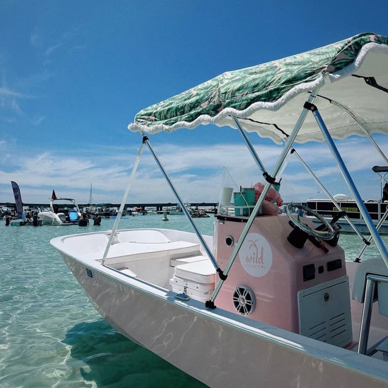 Pink Boston Whaler up to 5 Passengers